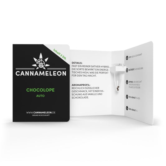 Chocolope  - THC Auto Samen